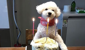 Meet your Posher, Ruby